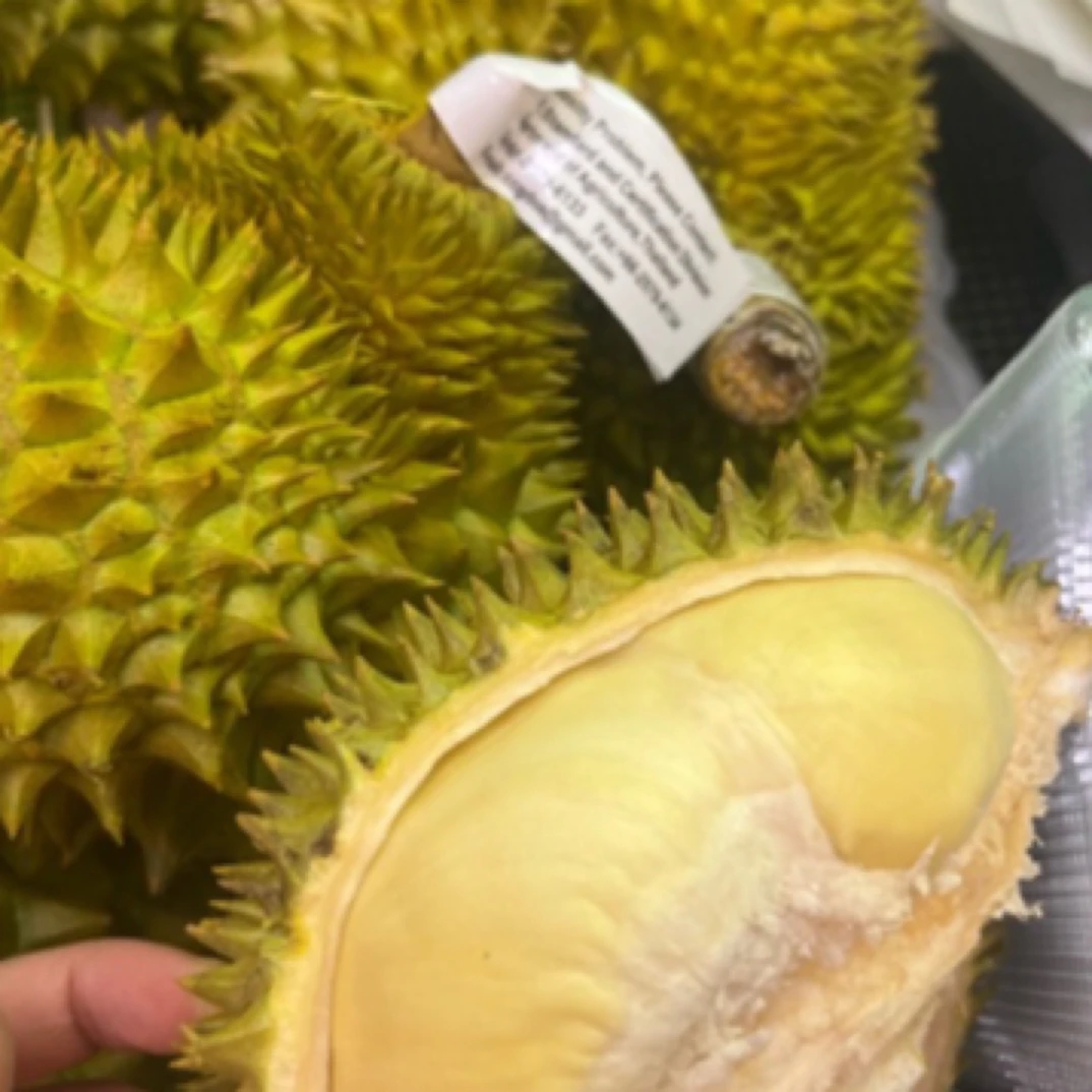 泰国金枕现开鲜肉2斤(熟度有点高接近干包,无售后)