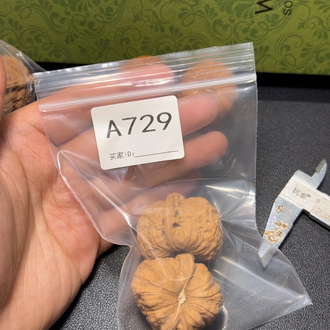 核桃哈哈哈哈我的小