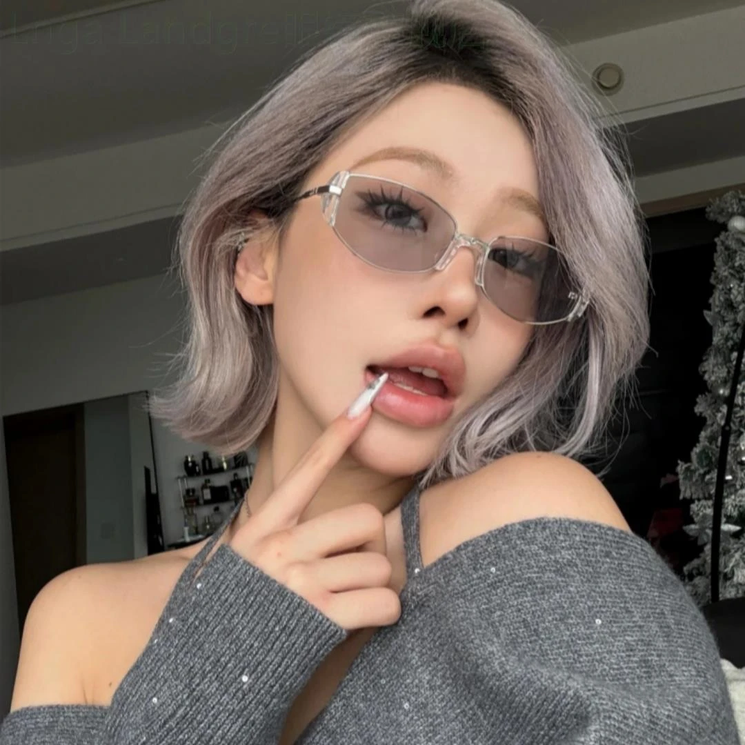 Lnga Landgre百搭2025新摩登复古高级感透灰窄框小棕镜女方圆脸显