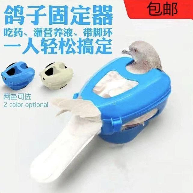 鸽具鸽子固定器喂药看鸽信鸽眼赛固定架用具用品