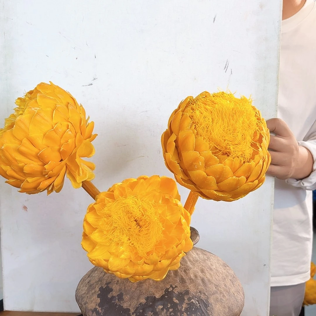 完全开放量拍-黄色三枝