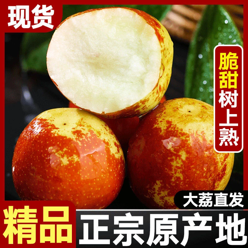 正宗陕西大荔冬枣5斤新鲜大枣当季整箱水果枣子脆枣鲜枣应季包邮3