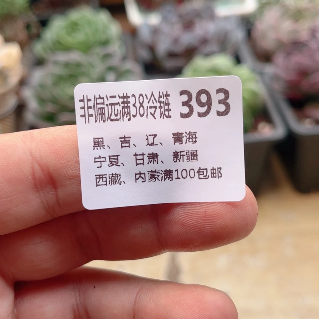 393新疆运费德华