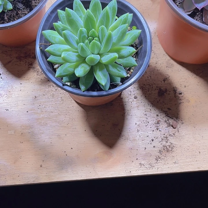 东****A000000000000000024