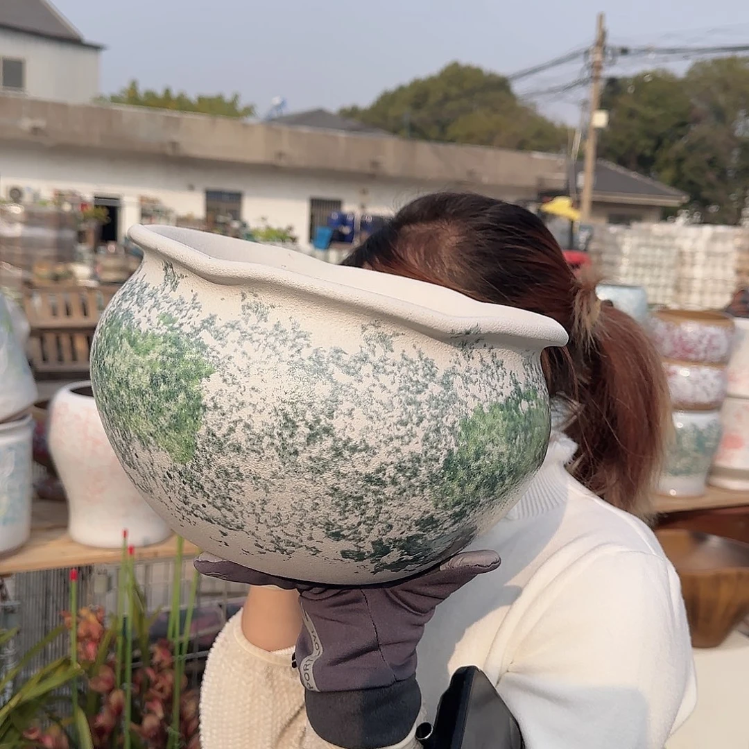 王嫂花盆直播1201-421高18口27