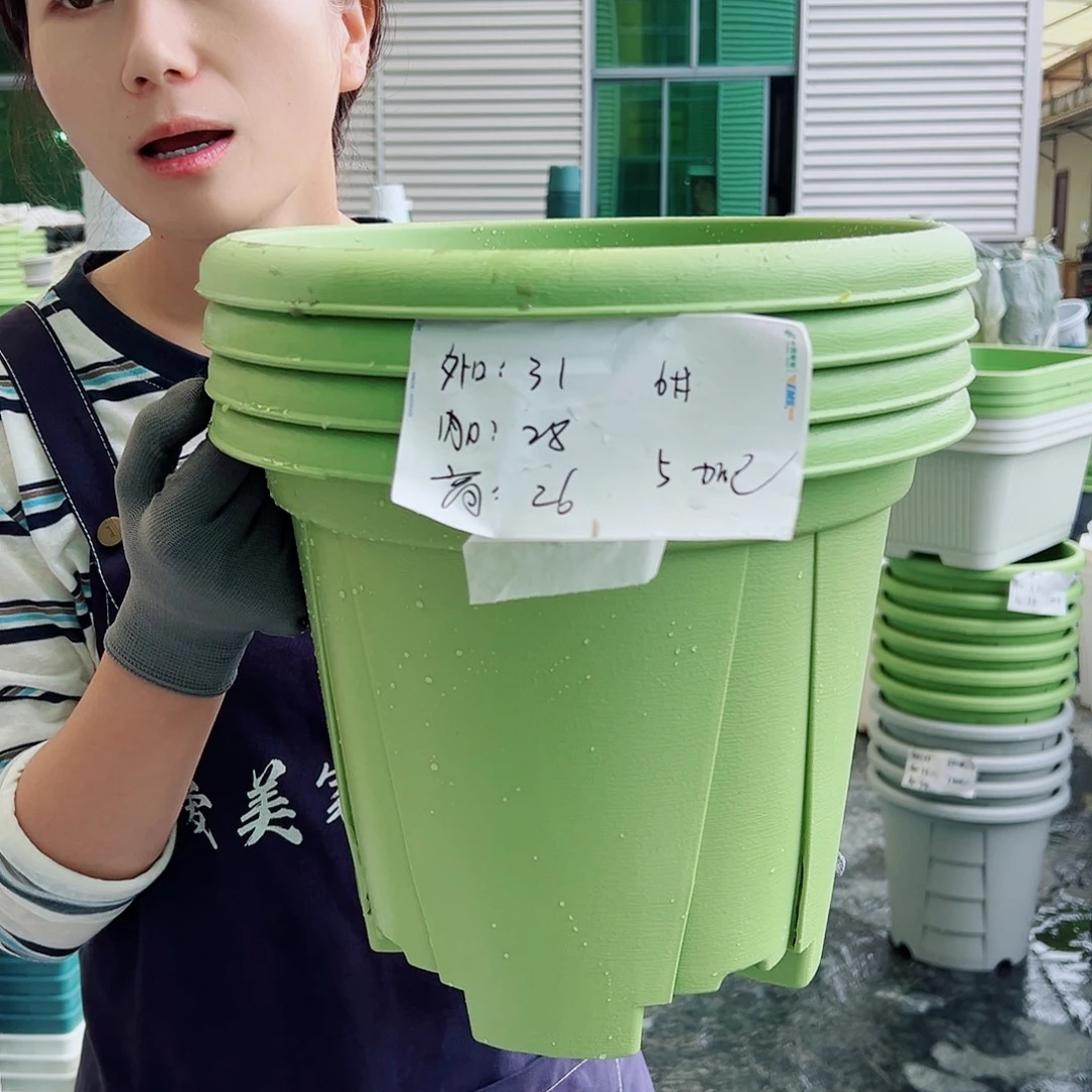青山盆6#墨绿50个无托