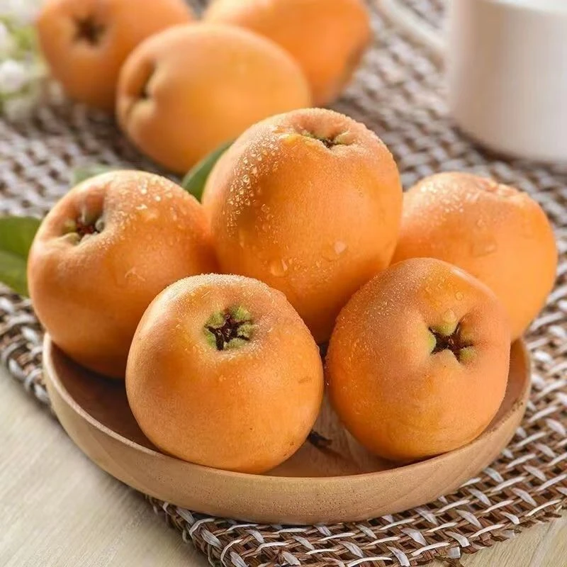 【产地直发】正宗四川高山大枇杷新鲜 爆甜多汁 当季现摘现发 HT