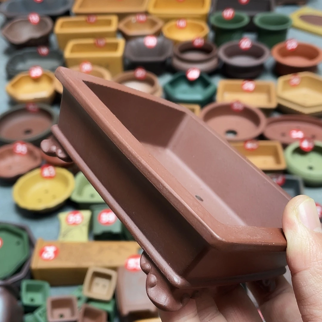 紫砂小盆11*9*3cmmmm