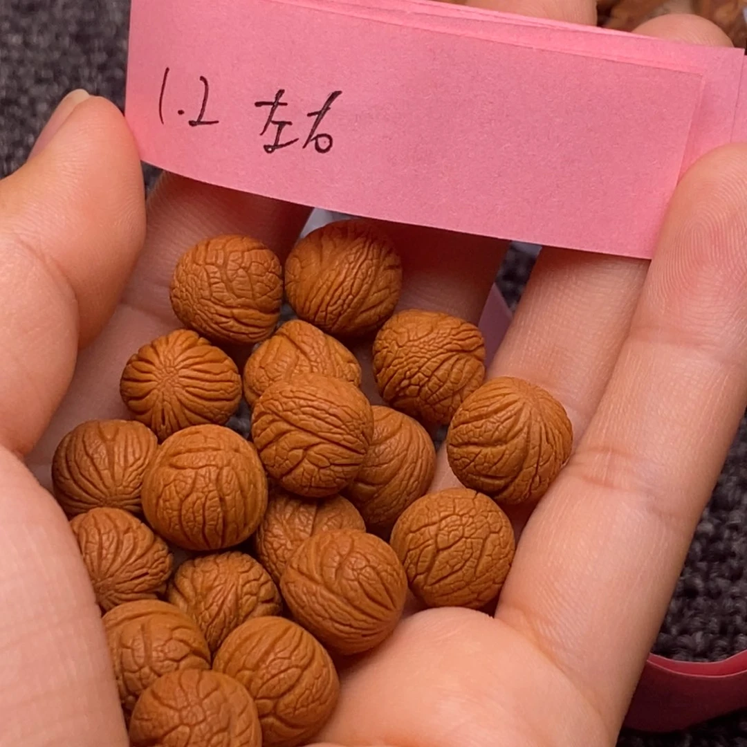 秦岭龙纹桃核单圈