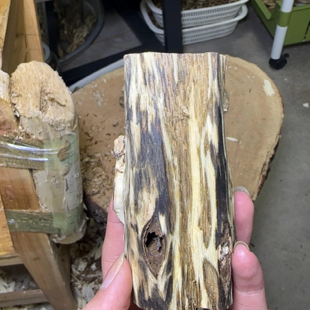 沉香透顶绿虫漏原料发一份