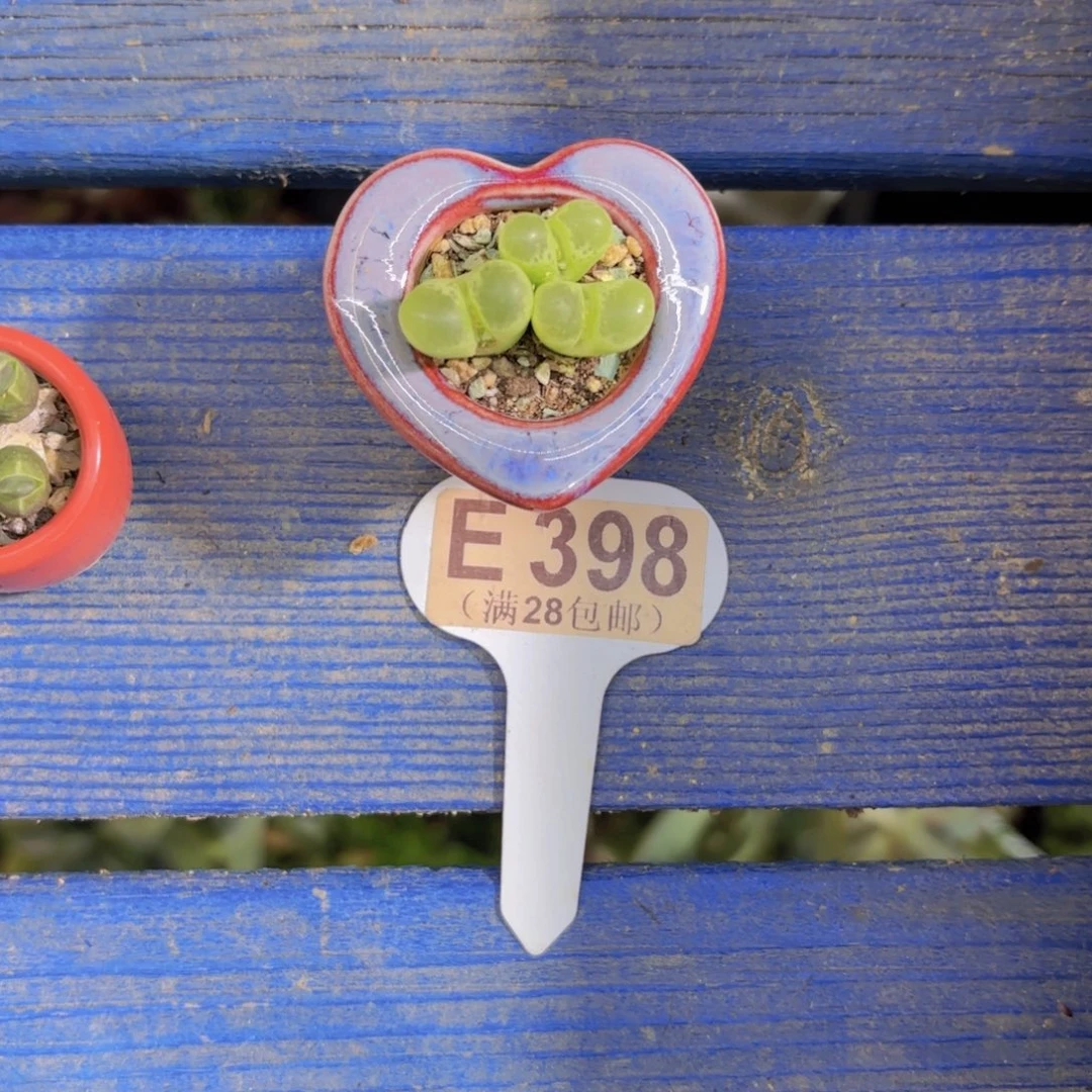我****E398绿眼睛一物一拍
