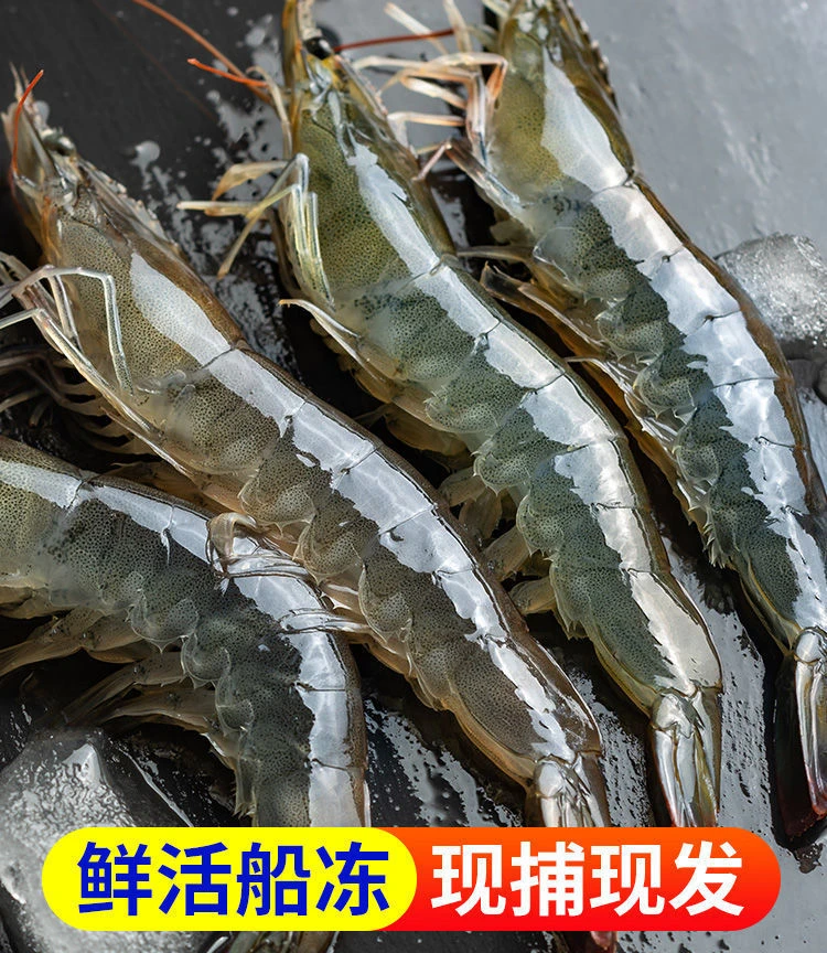 渔船上岸海洋大虾海水虾大号海虾14-18只速冻锁鲜新鲜味美原盒5斤
