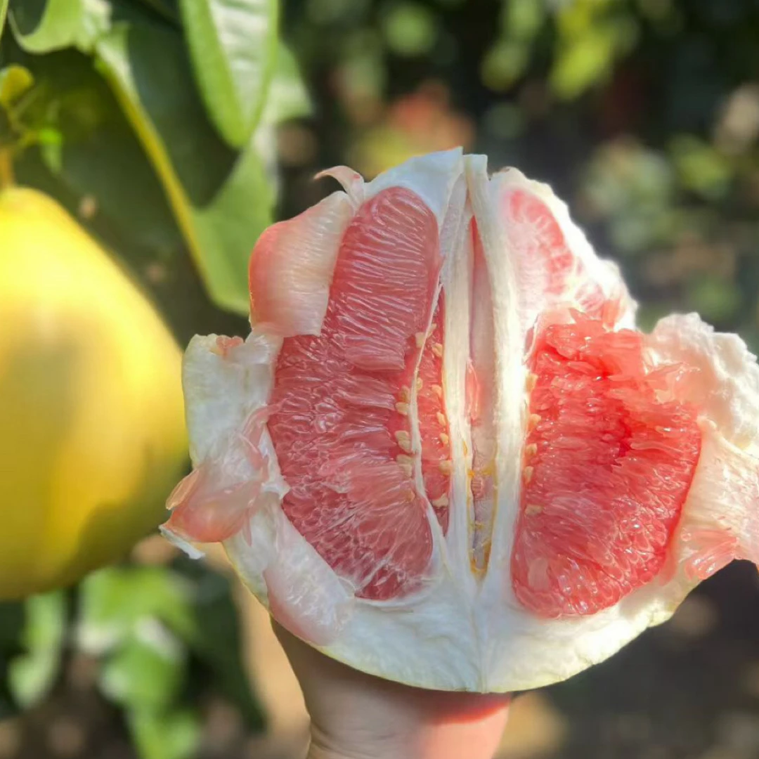梅州客家红肉蜜柚当季新鲜水果