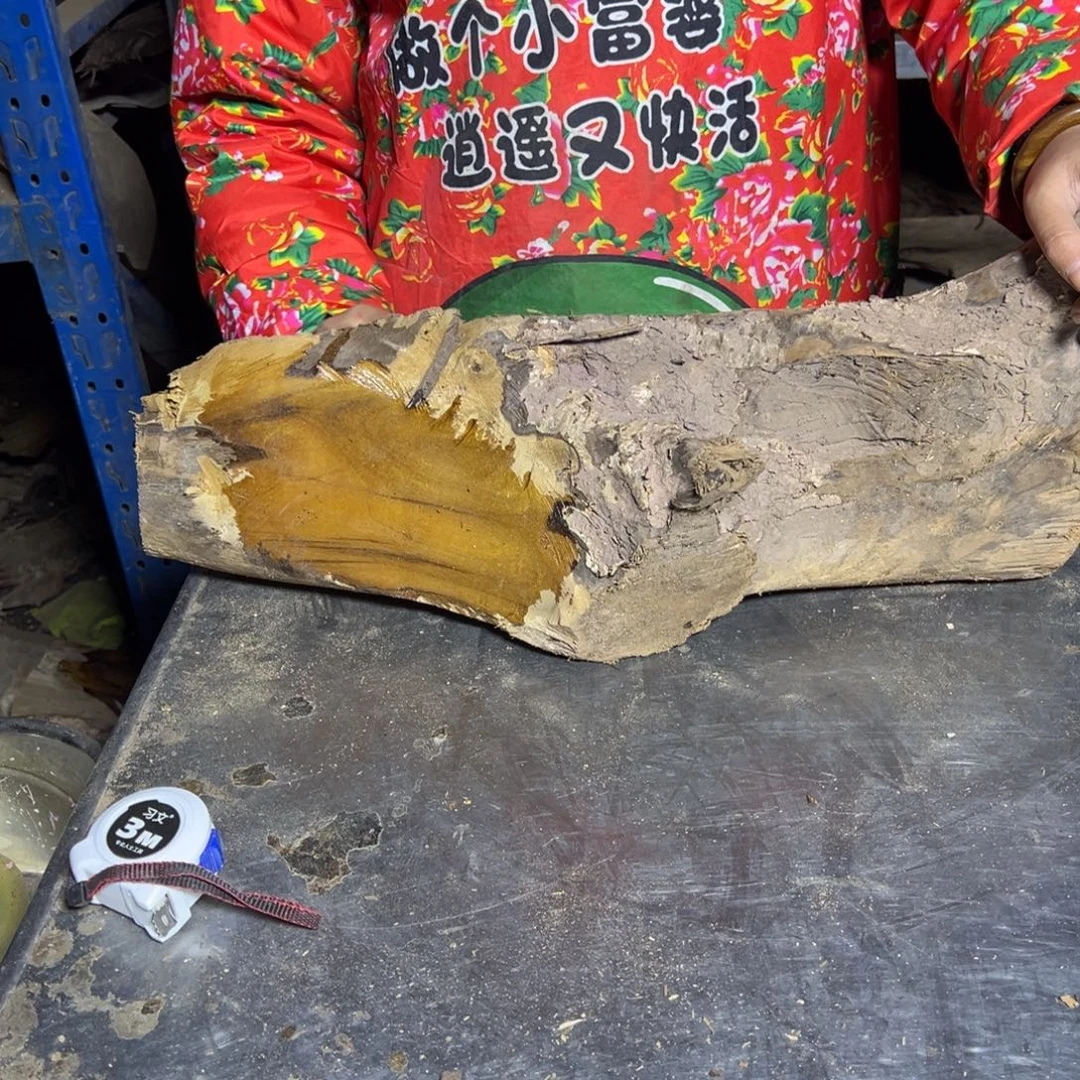 没***乐金丝楠22222222222222