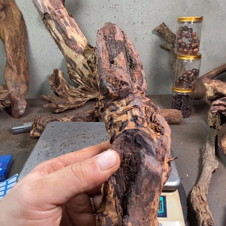 黄花梨/降香黄檀?