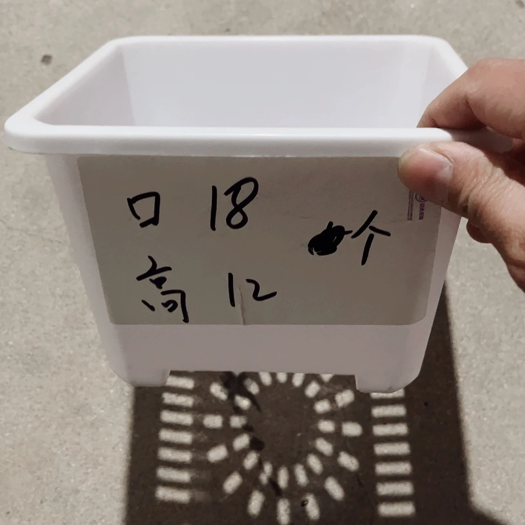 树脂升级款景天18方白色盆10个无托