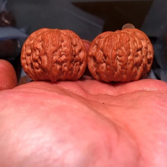 m***有机玻璃39磨盘狮子头