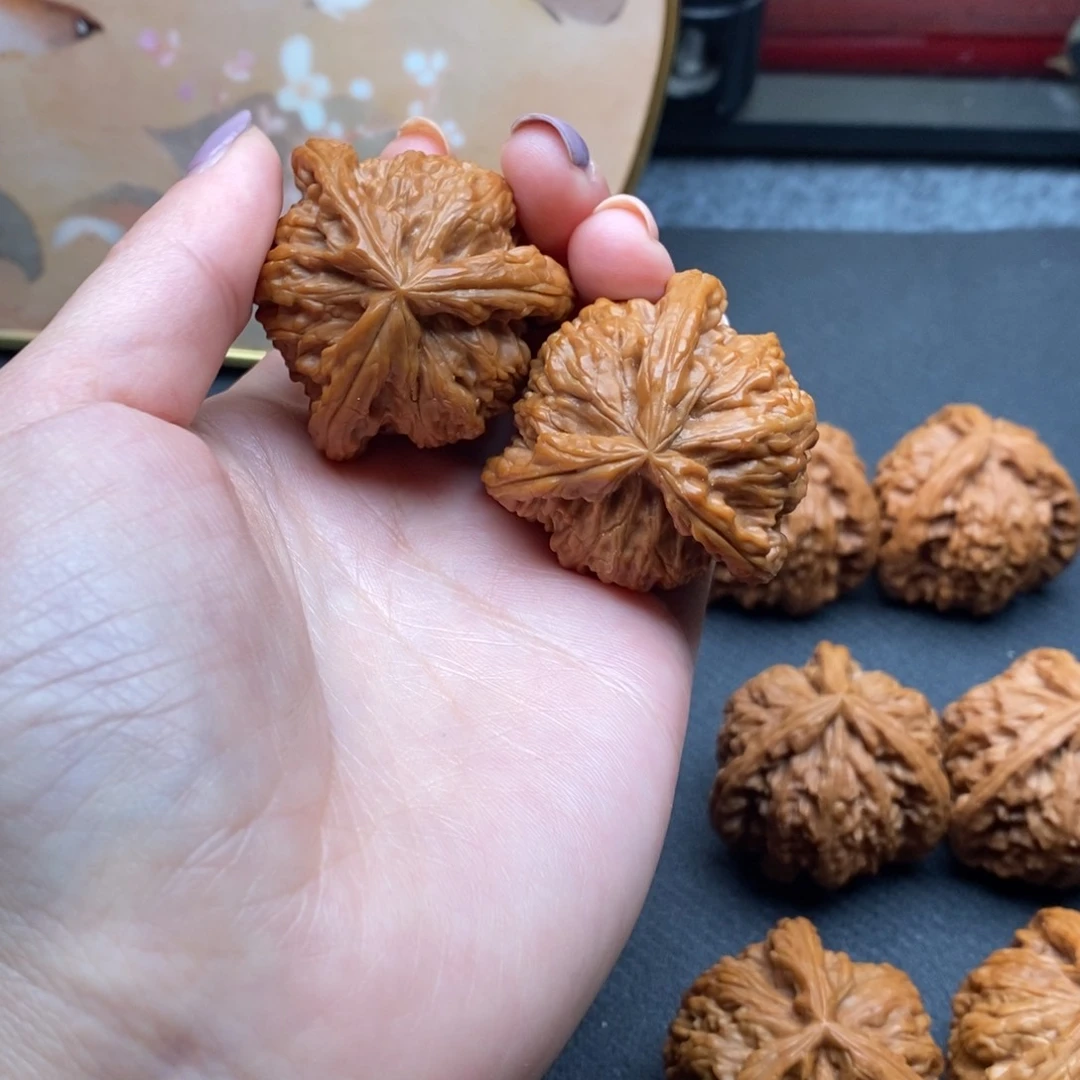 用****8白狮子1111111111