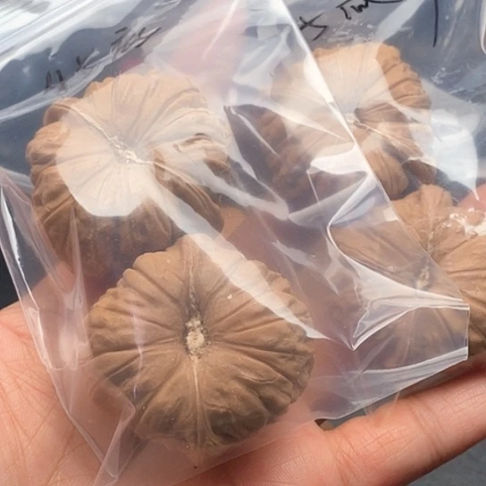 平***常把件文玩核桃45南瓜两个