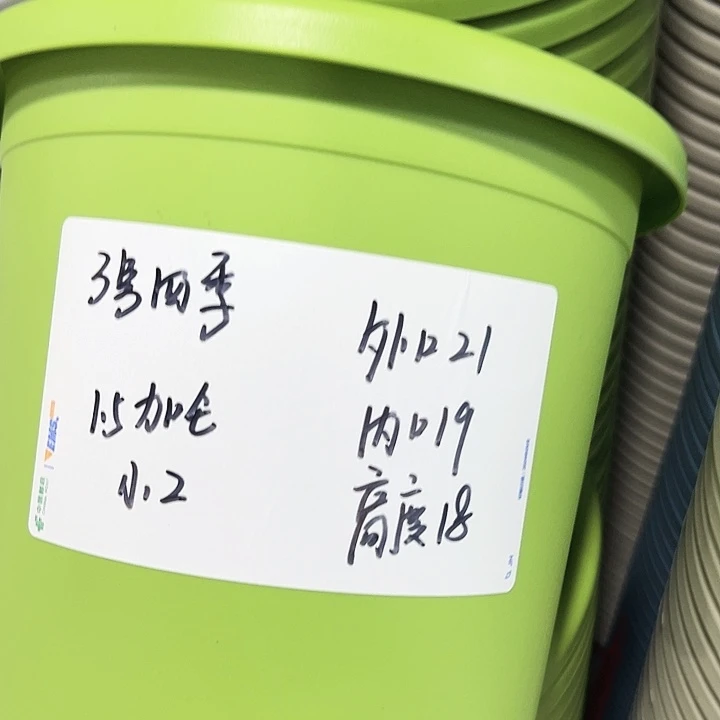 正品3号四季口21高18果绿无托10只