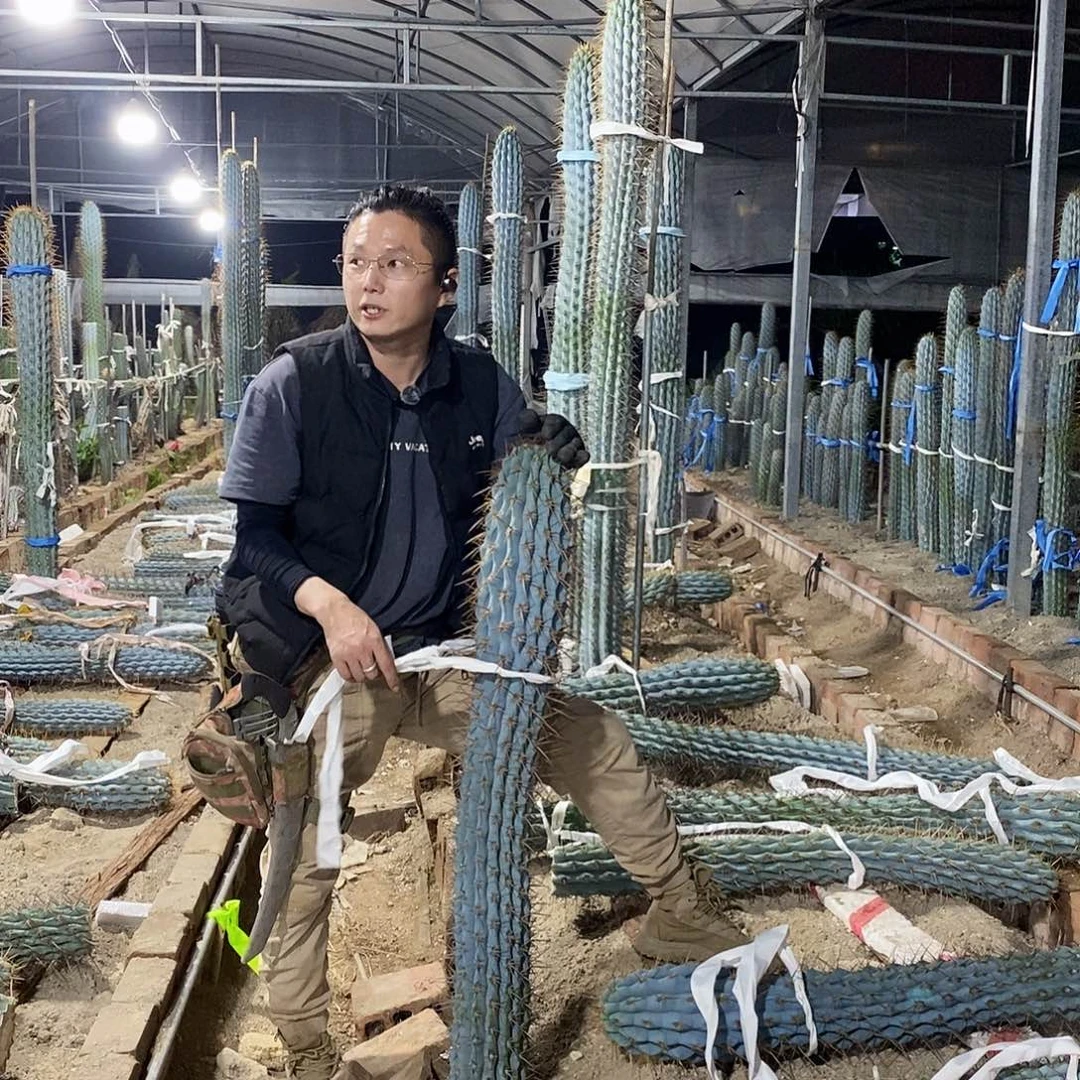 用***025号拍品。