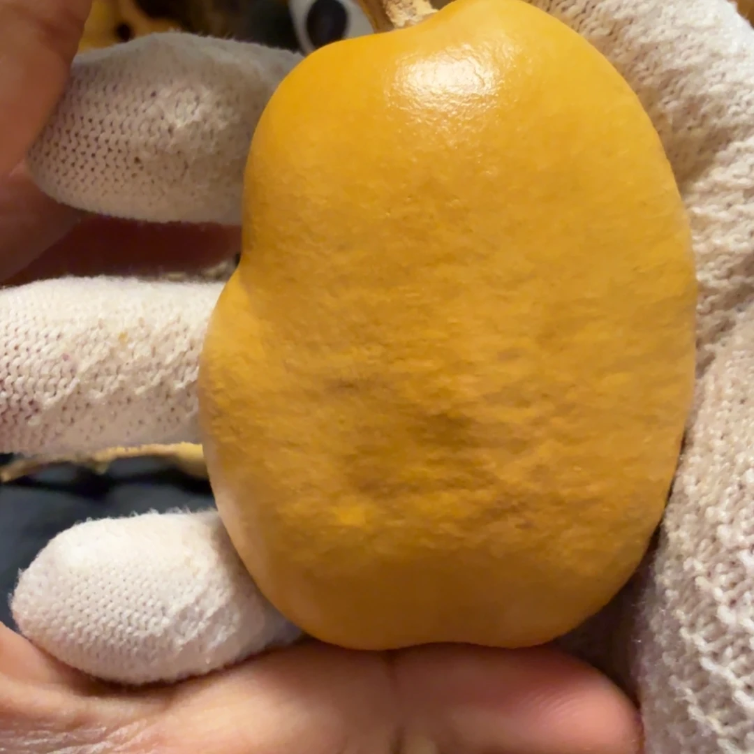 人***勤66…………………………………………