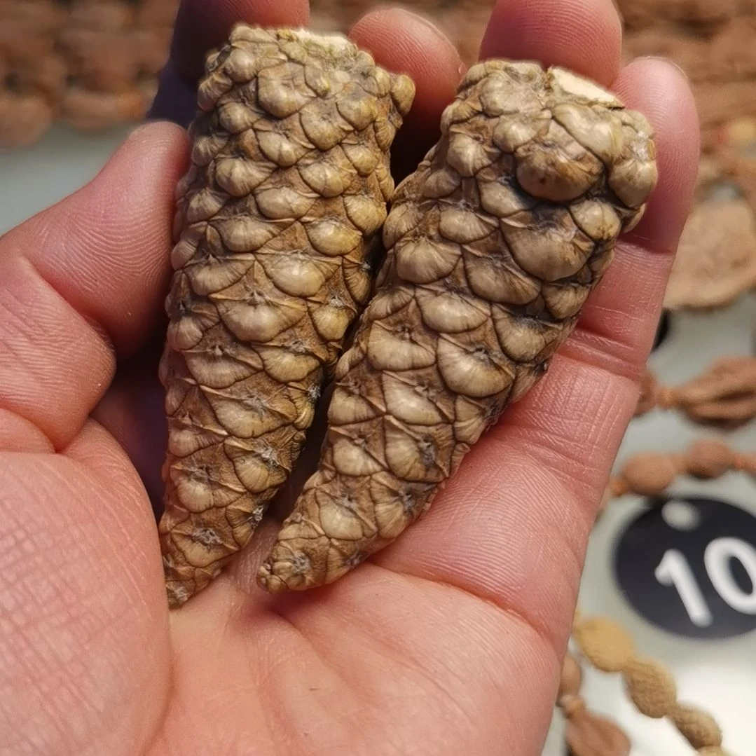 桃核吊坠拿姐直播间14