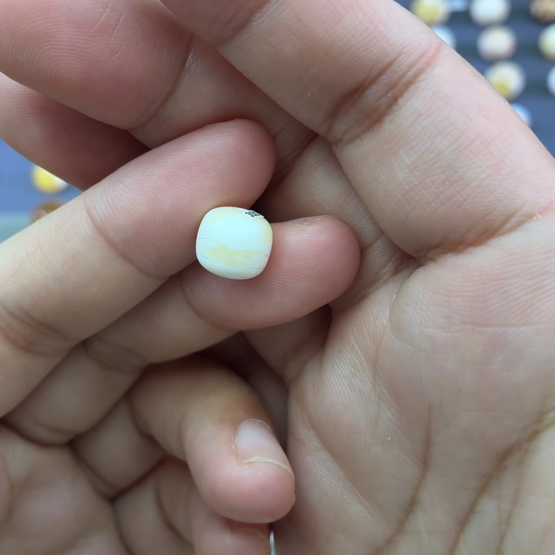 琥珀未镶嵌裸石9.7老型