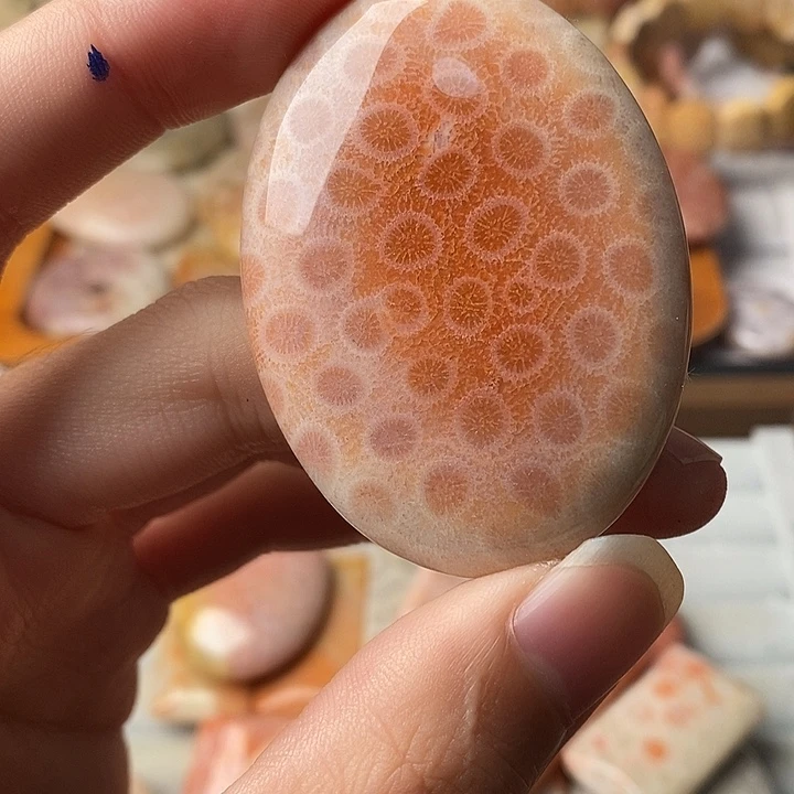 孤***安硅化珊瑚未镶嵌颈饰