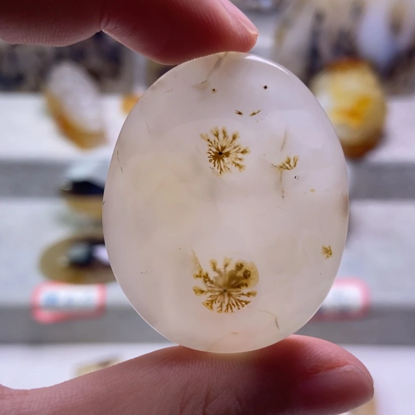 【闪购商品】未镶嵌玛瑙/玉髓珠宝奇石