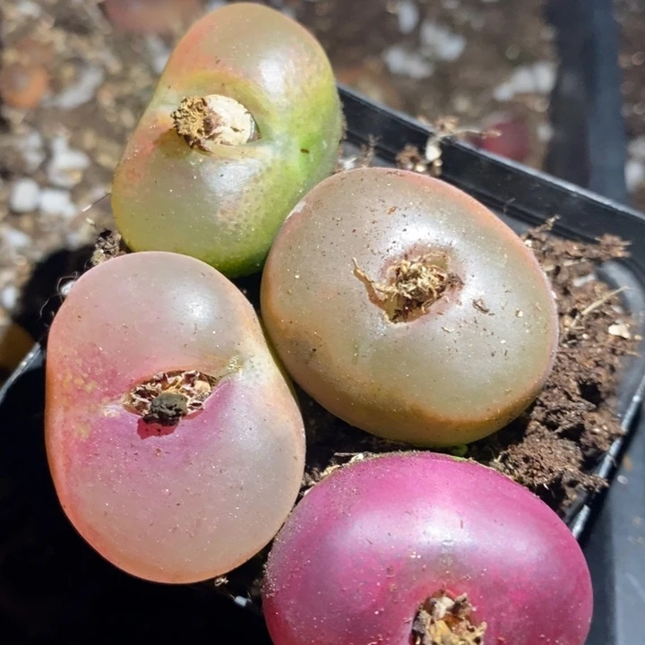 27272一组一组一组