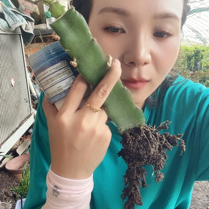 肥料福利2号哈哈哈