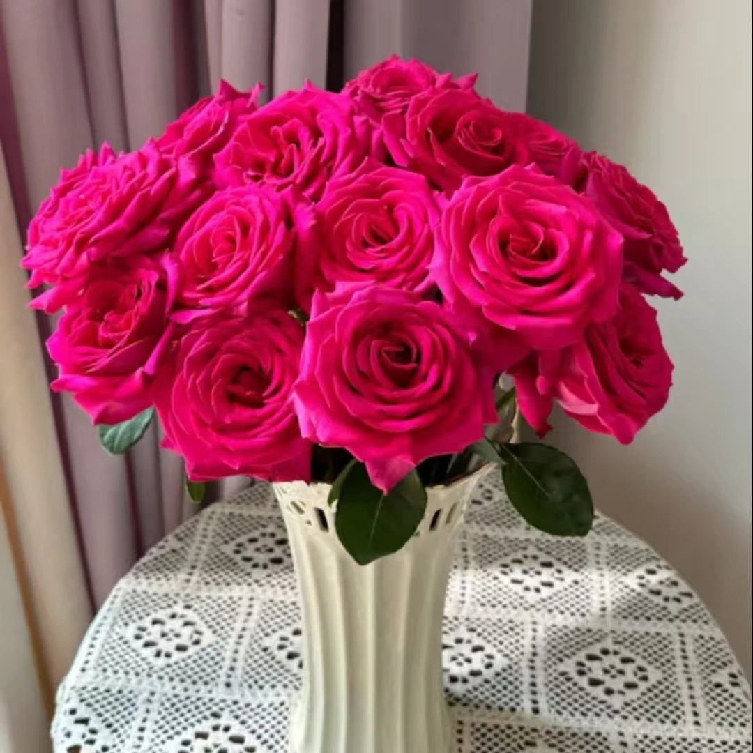 【弗洛伊德10支】任意2单鲜花升级顺丰/德邦