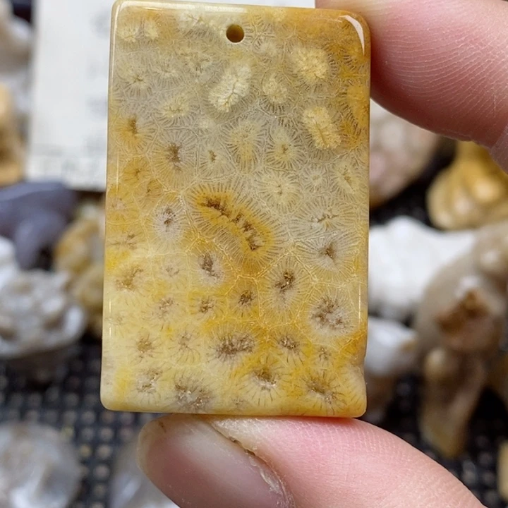 颈饰未镶嵌硅化珊瑚（珊瑚玉）7***j