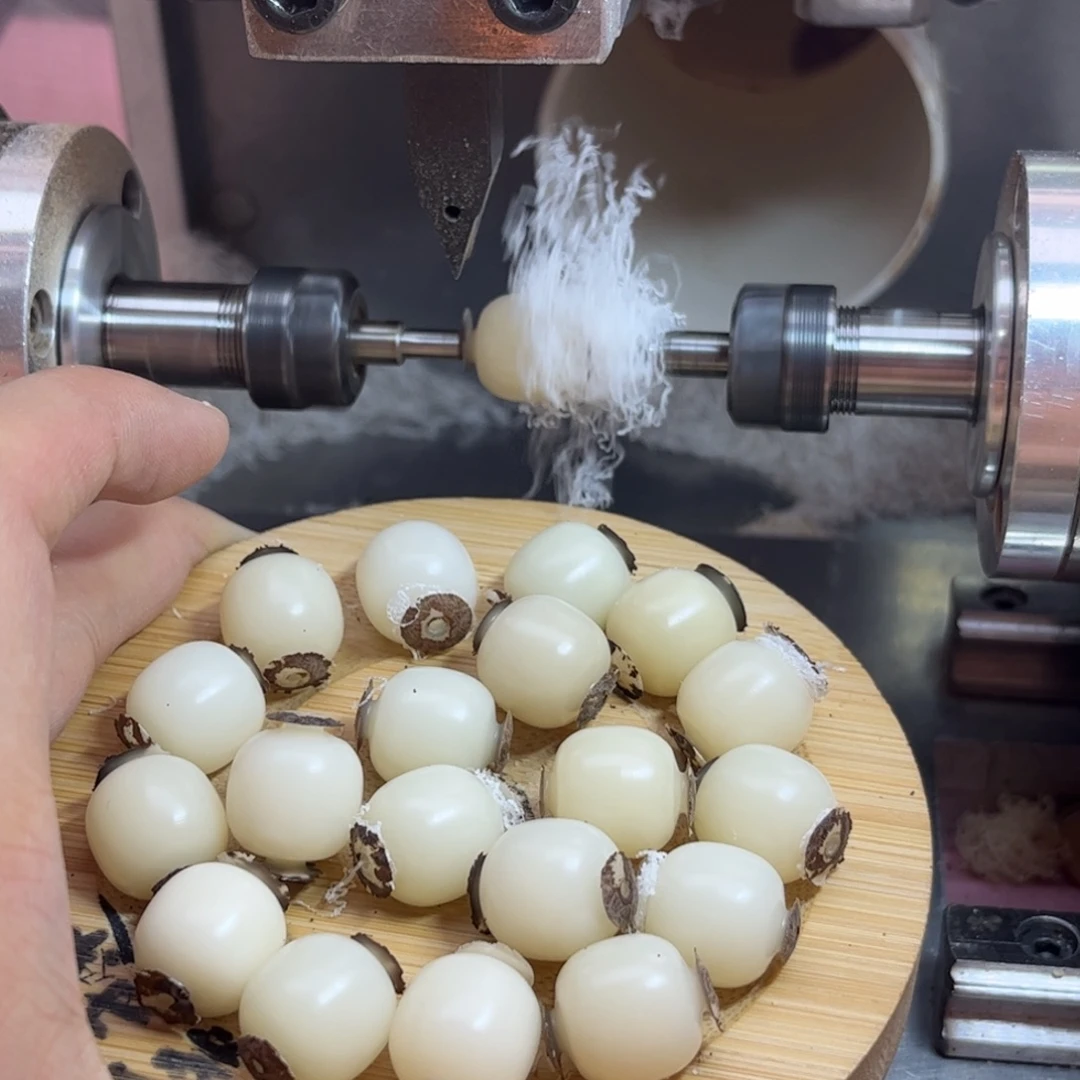 海***洋菩提根/象牙果手串