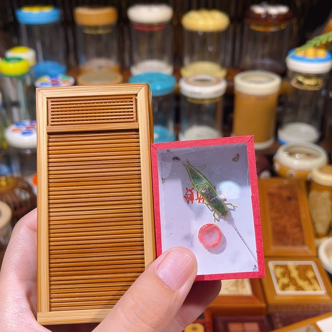 蟋蟀卷帘门竹蛉盒+绿金钟+布套