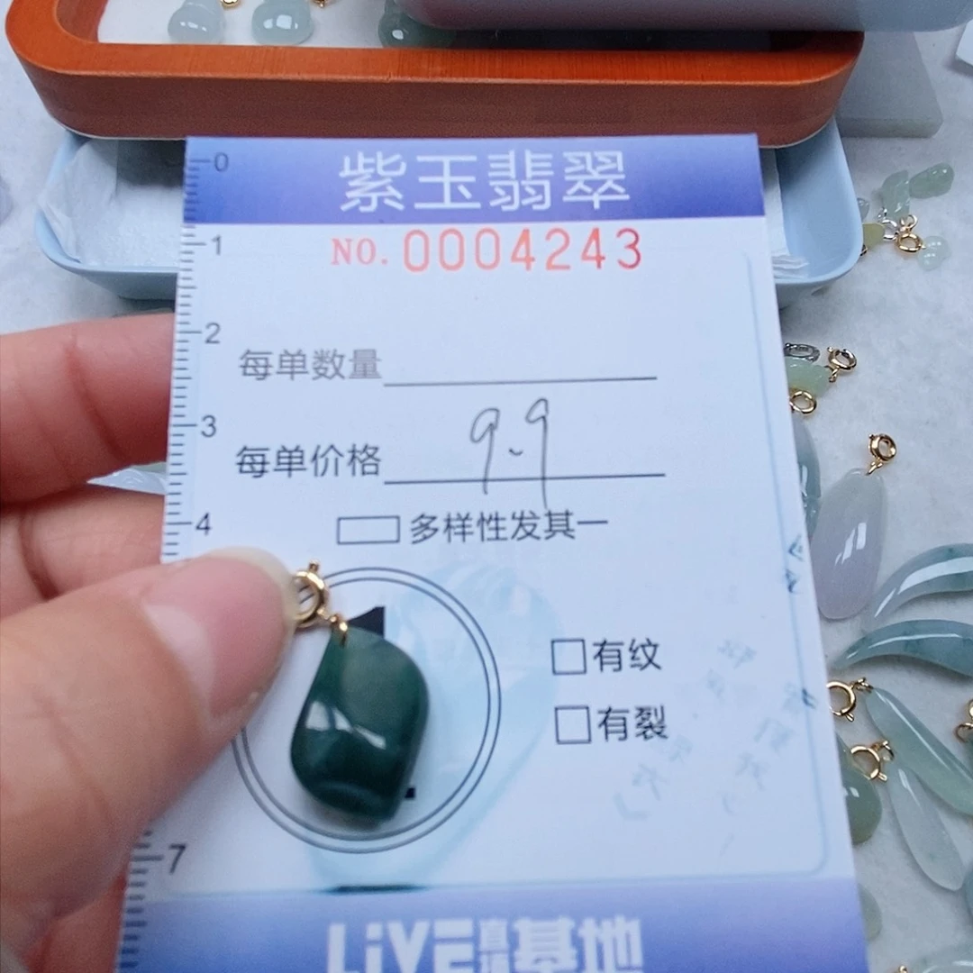 颈饰未镶嵌翡翠冰胶随行