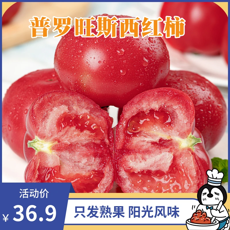 陕西枝熟普罗旺斯西红柿4.5斤装精品熟果高糖低酸