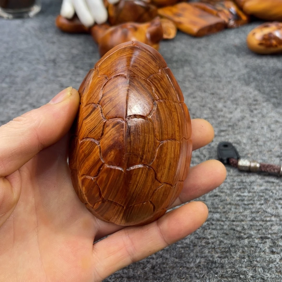 柏木（崖柏）太行崖柏66666666666