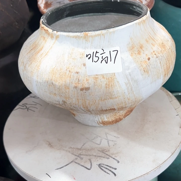景德镇精品花盆栽，老桩飘枝