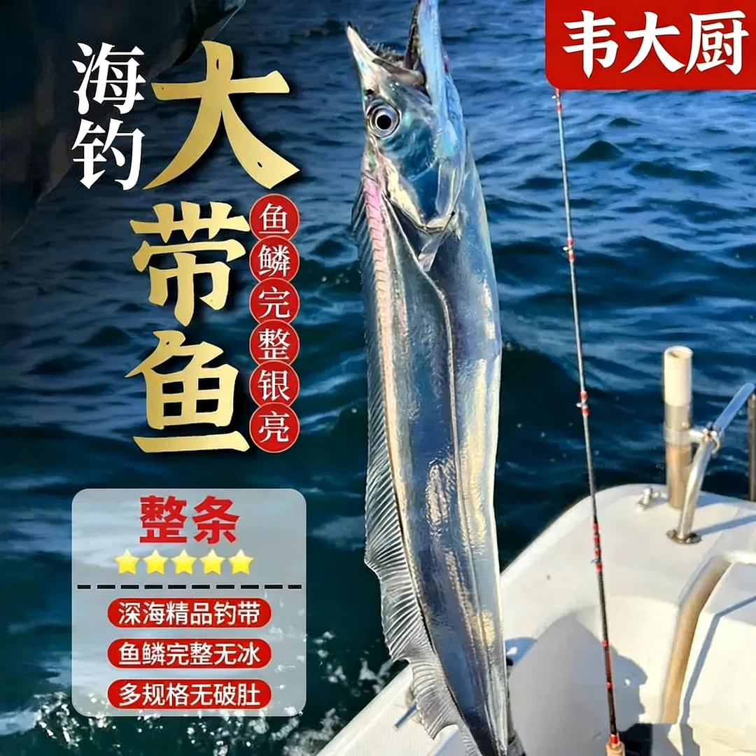 【韦大厨丨新疆包邮】AAA海钓中号带鱼肉质新鲜无冰衣整条发货
