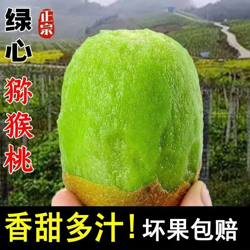 绿心猕猴桃 新鲜应季水果香甜多汁