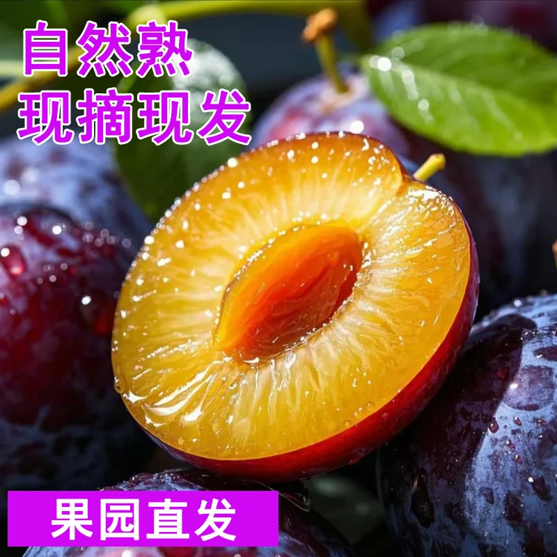 新鲜应季现摘天水大西梅产地直发孕妇水果爆汁酸甜口