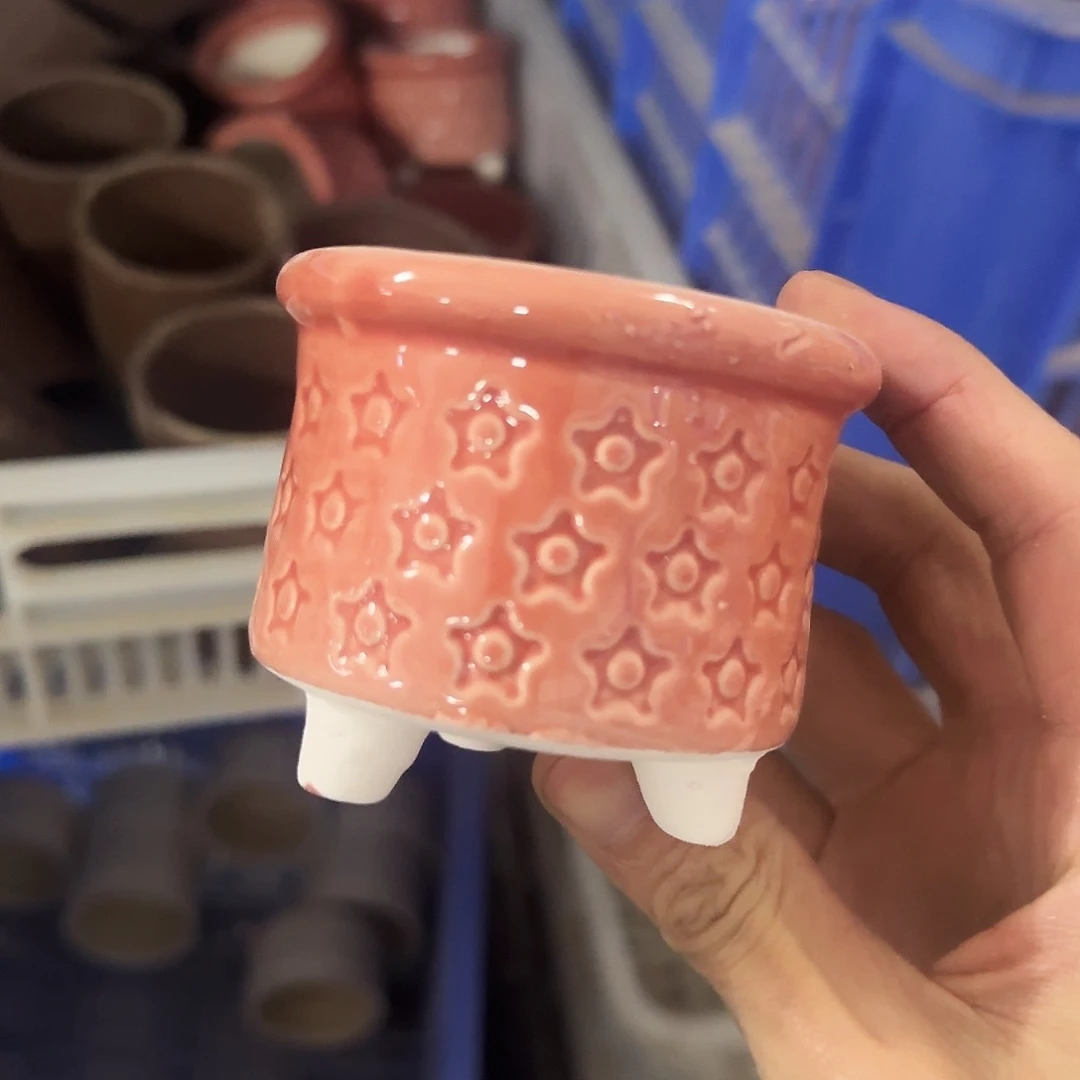 福利局绿植多肉盆［凑9元包邮24小时发］5039