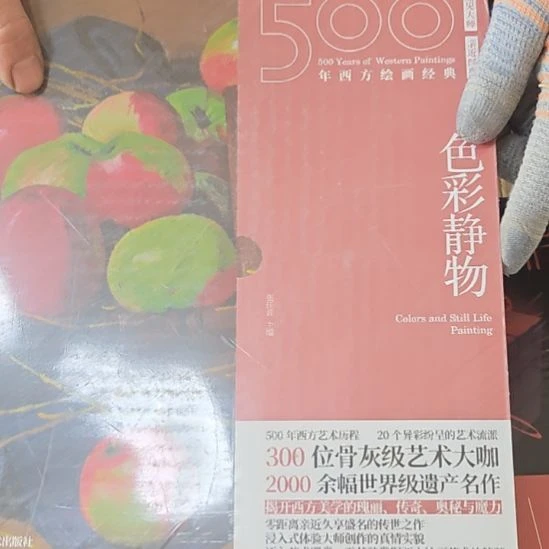 色彩静物平装库存书库存书全新