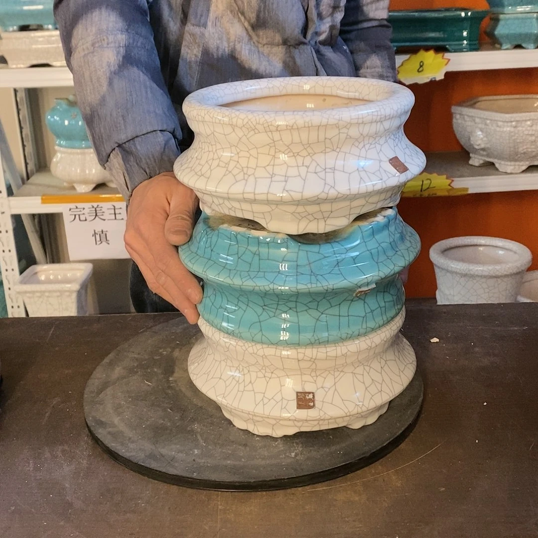 花盆花盆里放满鲜花