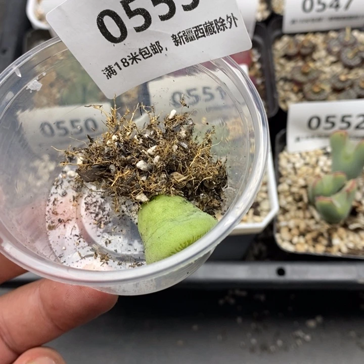 飞***卡553。