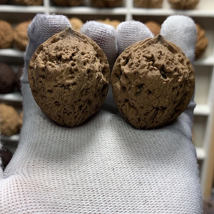 核桃36尺草莓型铁核28号