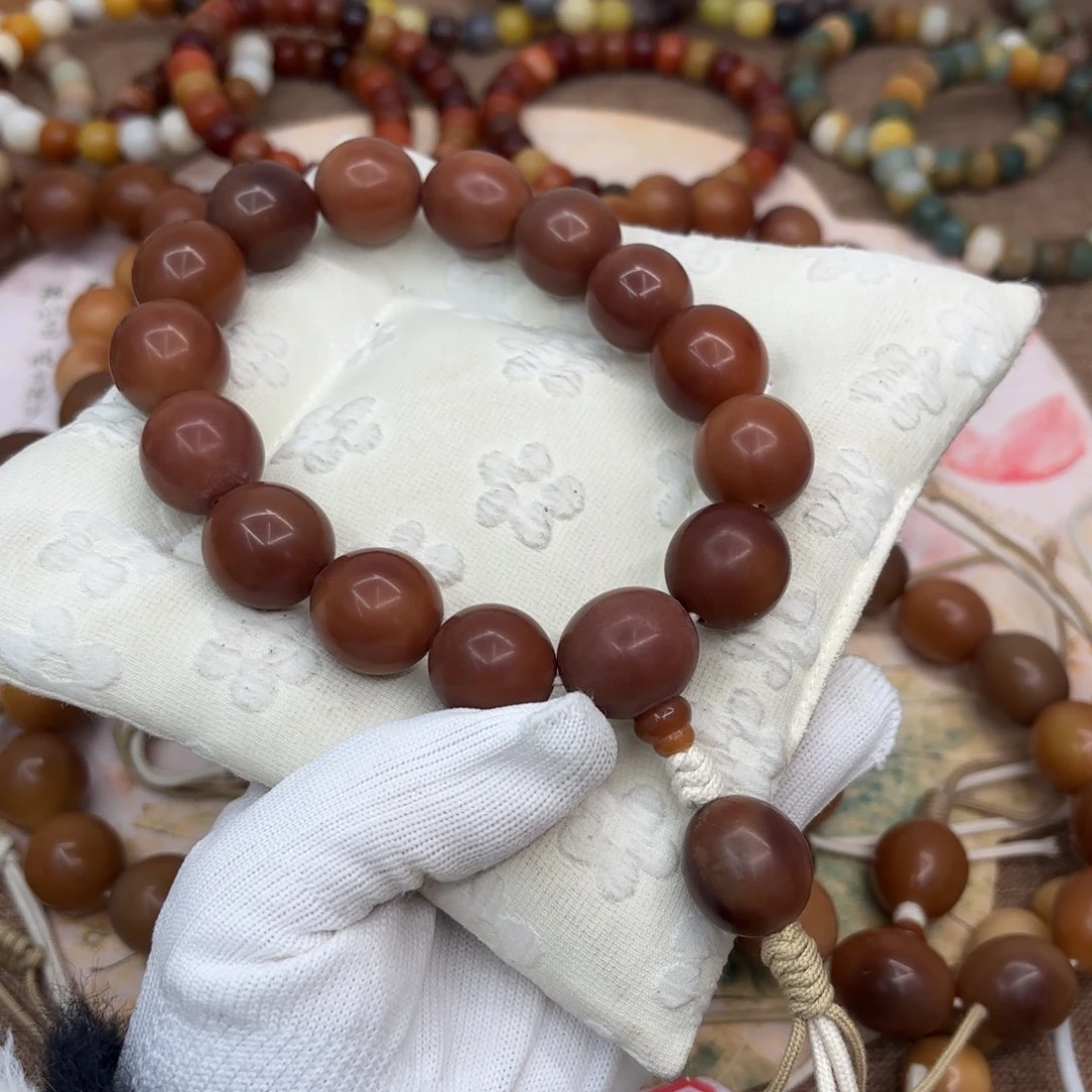 吊坠菩提根/象牙果21干磨落地果随行稀有手持689