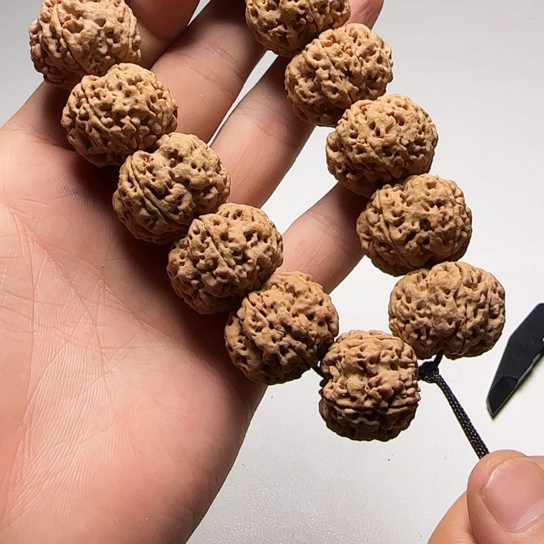 金刚菩提手串糖***猫1号金刚